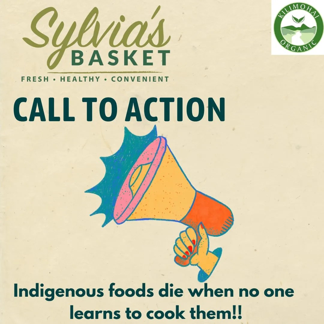 Policy advocacy work